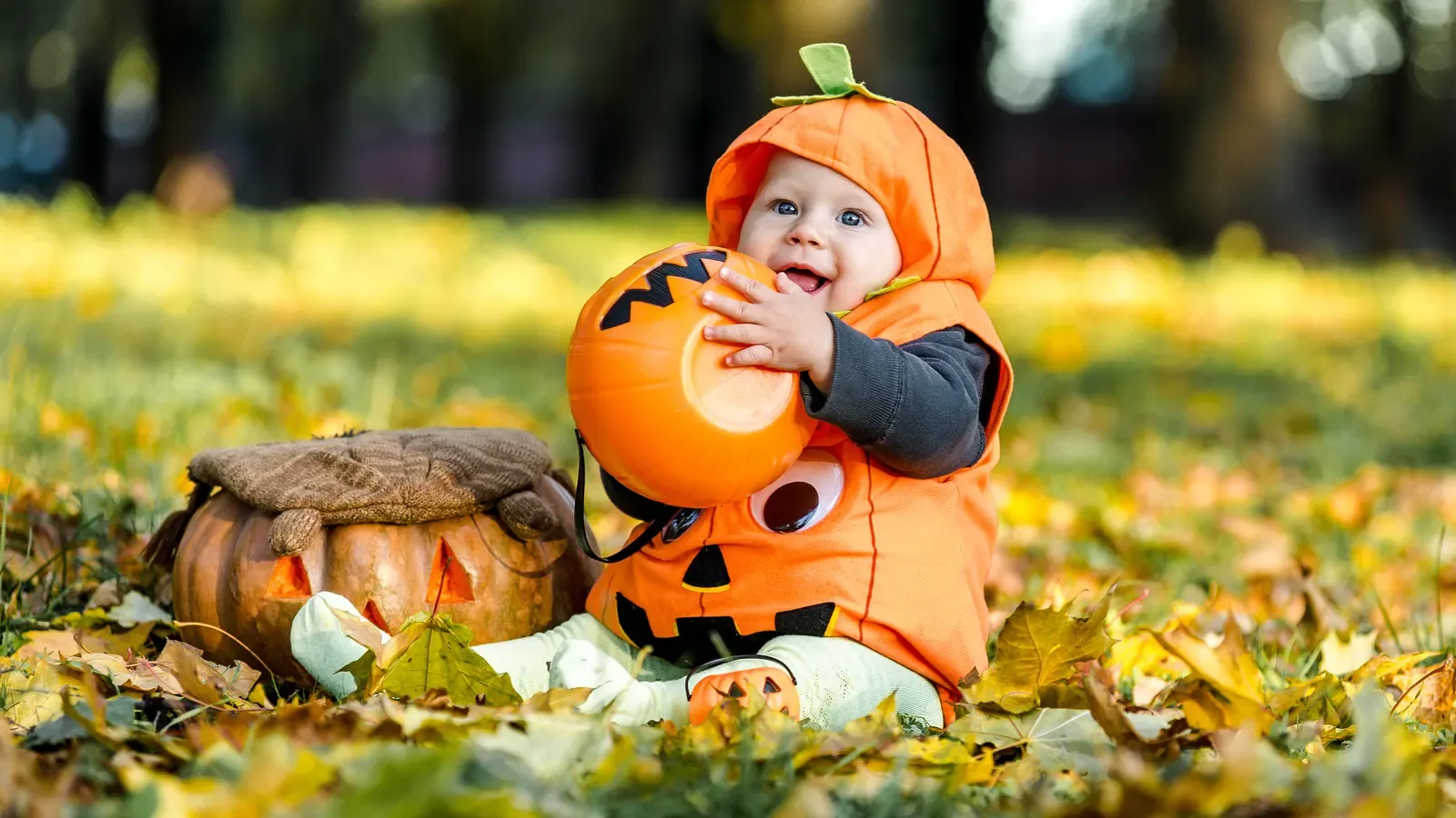 A baby in an orange pumpkin costume sitting among fallen fall leaves beside a carved pumpkin