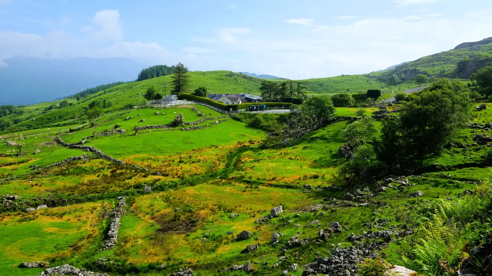 Sunlit green fields divided by dry-stone walls, with a white farmhouse on the hillside above, in County Kerry, Ireland