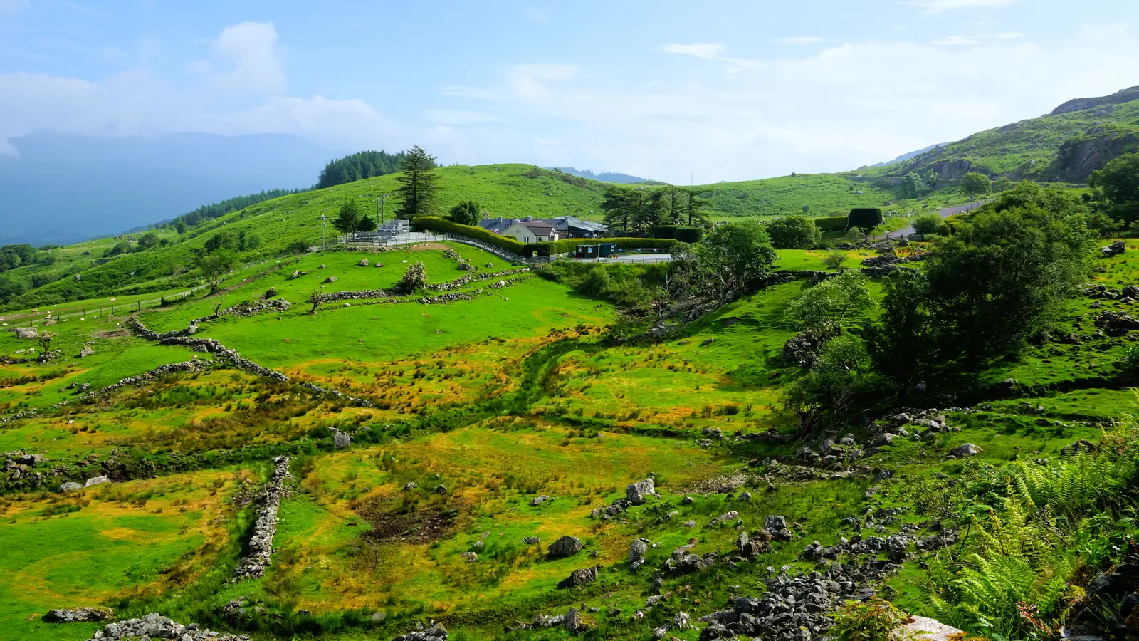 Sunlit green fields divided by dry-stone walls, with a white farmhouse on the hillside above, in County Kerry, Ireland