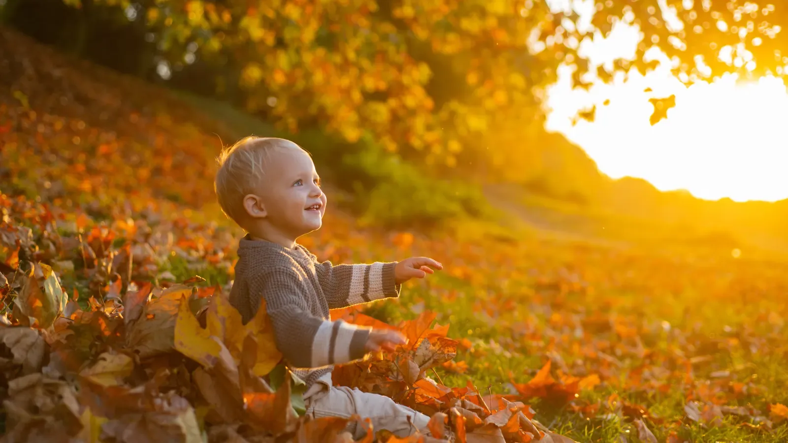 A toddler sitting in a pile of orange fallen leaves, laughing, with low golden sunlight behind him