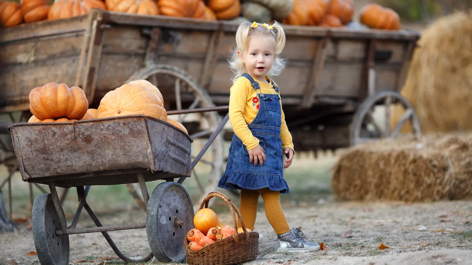 A small child in a denim pinafore standing beside a wooden cart piled with pumpkins at a pumpkin patch