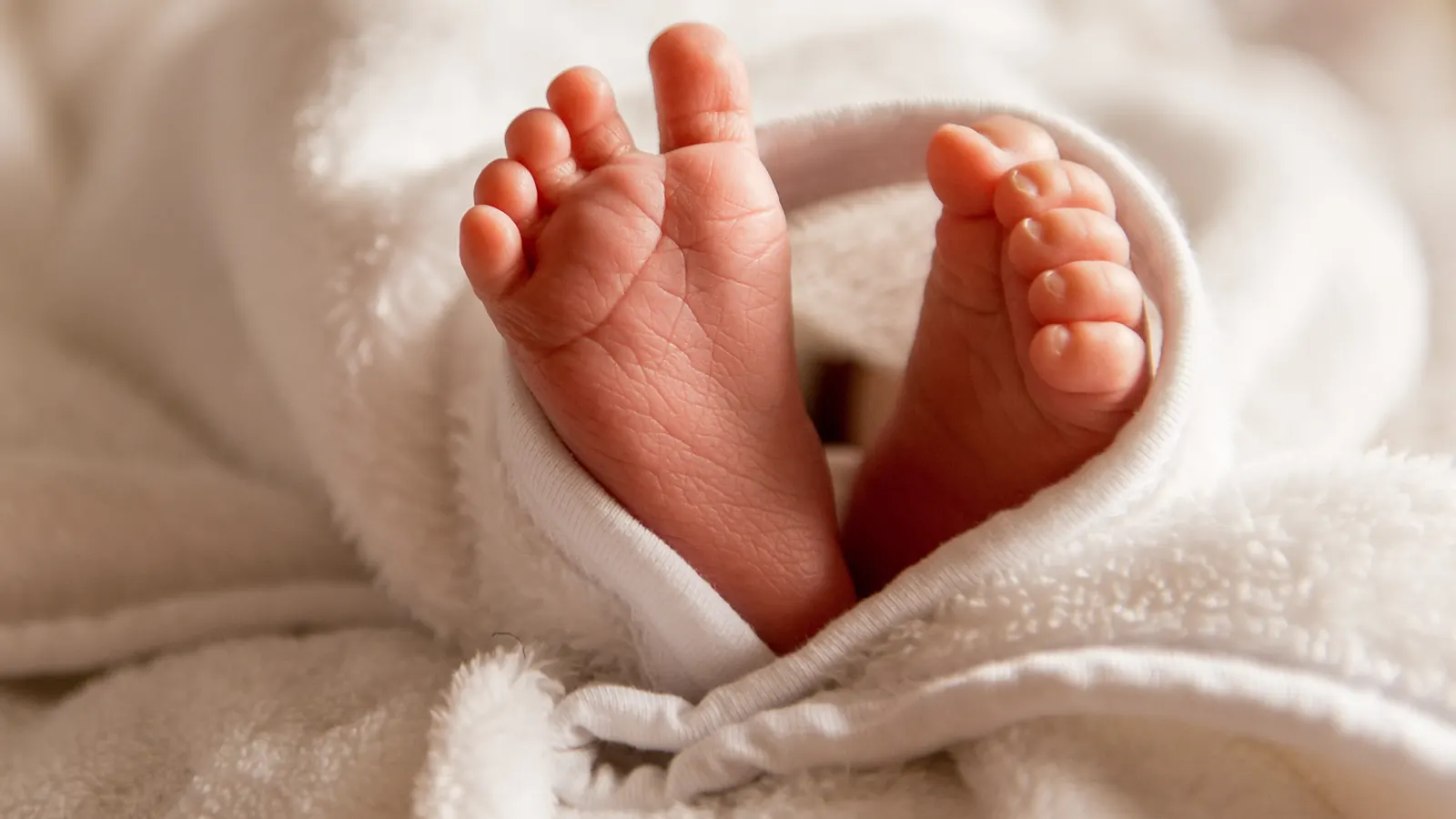 A newborn baby's bare feet wrapped in a soft white blanket