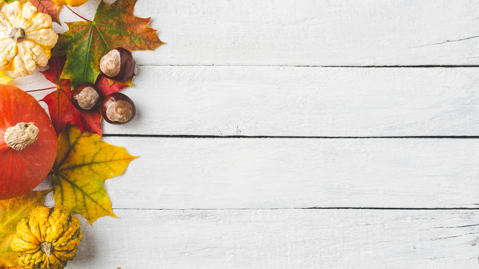 Maple leaves and acorns arranged on white painted wooden boards